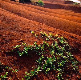 黑暗奇幻银河恶魔城《曼德拉》发售日确定